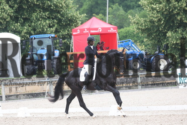 Weilheim_2023_Prfg.Nr.20_Reitpferdeprüfung_3u.4jähr.Hengste_Anna-Lisa Schepper_Barbossa 7 (20) | Alle Fotos der Reiterjournal Fotografin Doris Matthaes im Reiterjournal Online-Fotoshop. - Realisiert mit Pictrs.com