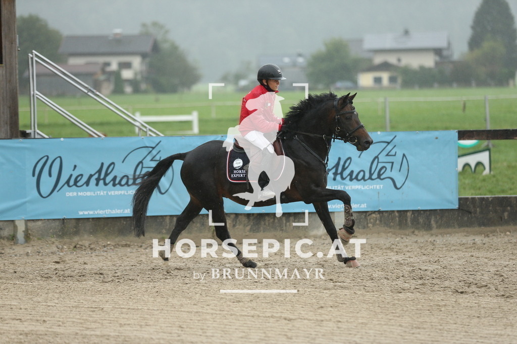 AS8V6139 | Willkommen bei Brunnmayr - Design & Fotografie – Ihrem Spezialisten für Reitturniere und Pferdeveranstaltungen in Oberösterreich, Salzburg und Bayern! Seit über 17 Jahren sind wir leidenschaftlich dabei.