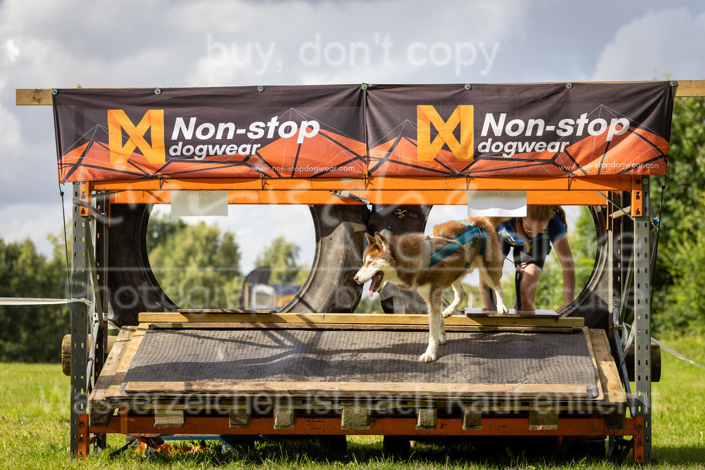 FM6A0266 | Herzlich Willkommen im Onlineshop von tierische Augenblicke.
Viel Spaß beim aussuchen ihrer Bilder und vielen Dank für ihren Einkauf.
Viele Grüße, ihr Fotograf Stefan Grube