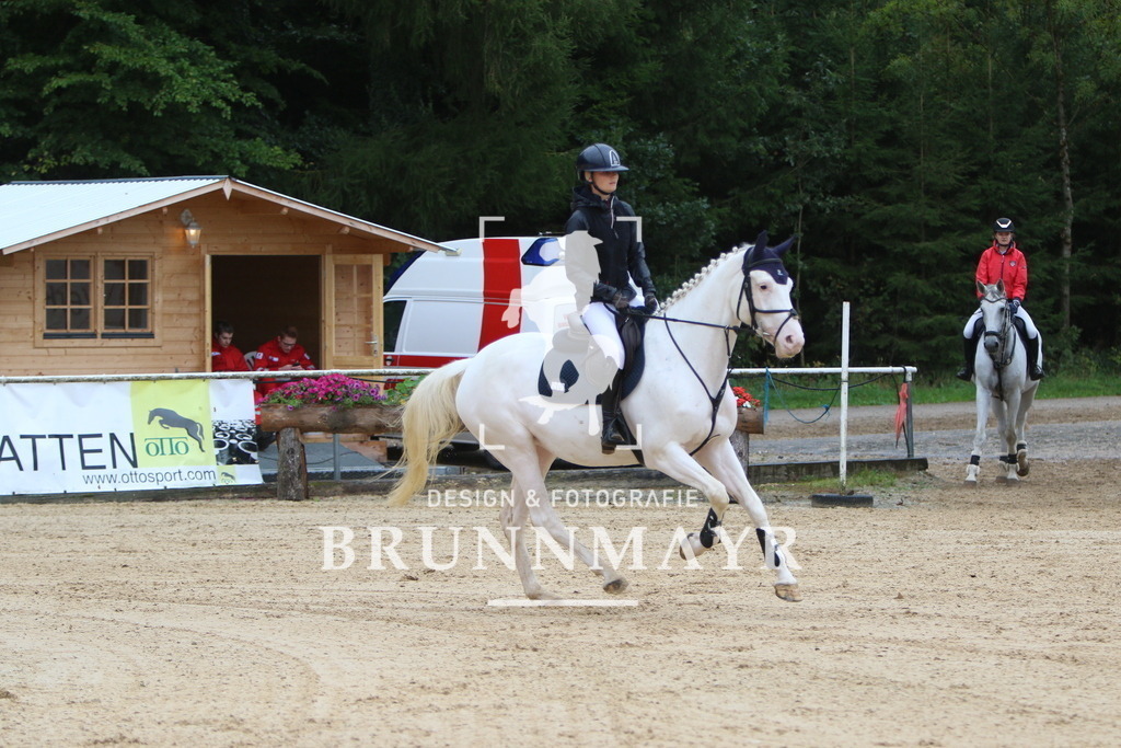 7V2A4978 | Willkommen bei Brunnmayr - Design & Fotografie – Ihrem Spezialisten für Reitturniere und Pferdeveranstaltungen in Oberösterreich, Salzburg und Bayern! Seit über 17 Jahren sind wir leidenschaftlich dabei.