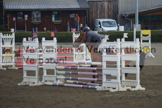 DSC00501 | equestrian-live-com