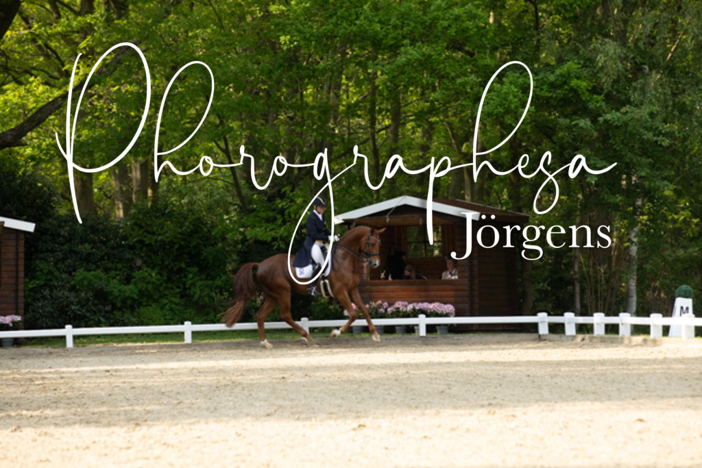 IMG_8553 | photographesa-joergens - Realisiert mit Pictrs.com