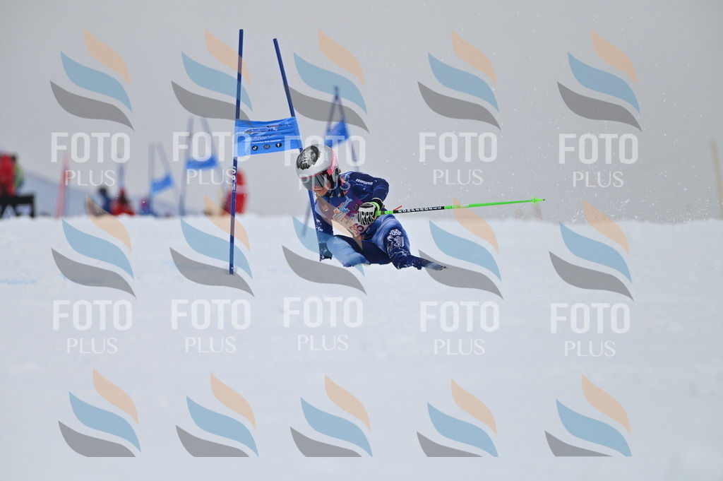 AGV_7570 | holidayphoto