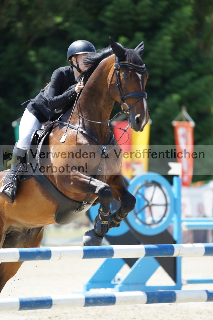 DSC00765 | equestrian-live-com