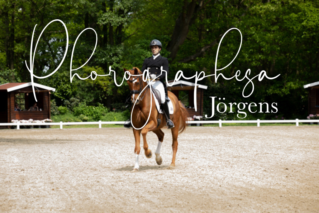 IMG_1350 | photographesa-joergens - Realisiert mit Pictrs.com