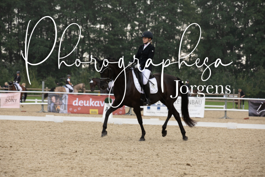 IMG_3306 | photographesa-joergens - Realisiert mit Pictrs.com