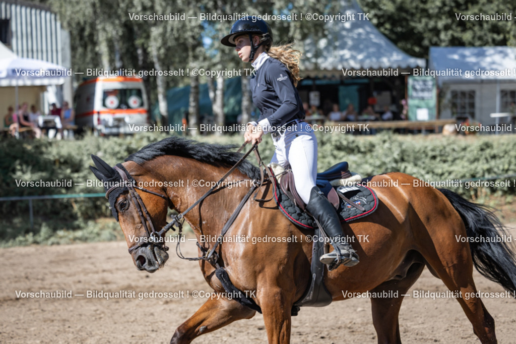 _D5A9657 | Pferdefotografie, Pferdefotografin, Turnierfotografie, Turnierfotografin, Hundefotografie, Hundefotografin, Fotografin, Pärchen, Hochzeit, Pferd