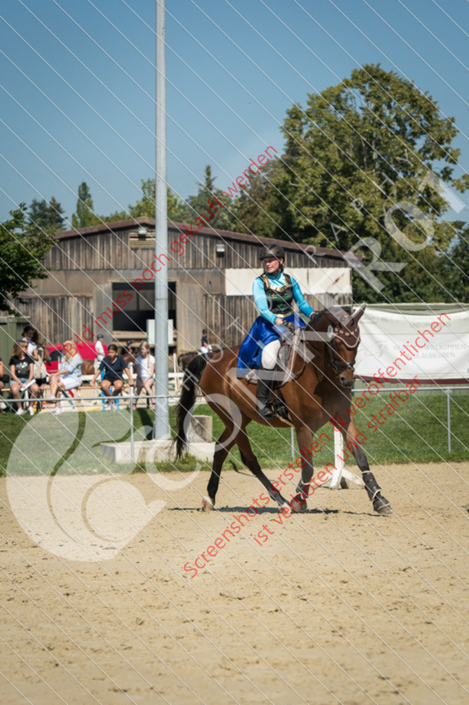 ND5_8975 | Hier findest Du viele Augenblicke aus den Bereichen der Turnier-, Sport- & Tierfotografie. Bilder mit deinem Liebling, Portrait-, Bewerbungs-, Businessbilder können ebenfalls schnell und einfach erstellt werden.