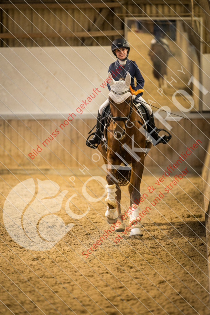 IMG_6744 | Hier findest Du viele Augenblicke aus den Bereichen der Turnier-, Sport- & Tierfotografie. Bilder mit deinem Liebling, Portrait-, Bewerbungs-, Businessbilder können ebenfalls schnell und einfach erstellt werden.