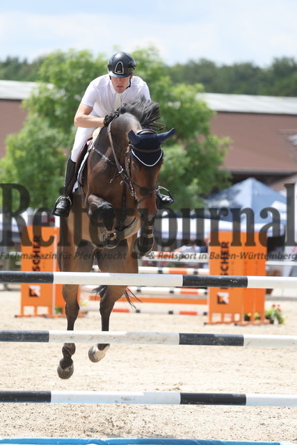 Weilheim_2023_Prfg.Nr.04_Springpferde_Kl.M_Tim Hoster_Calino PS (1) | Alle Fotos der Reiterjournal Fotografin Doris Matthaes im Reiterjournal Online-Fotoshop. - Realizzato con Pictrs.com