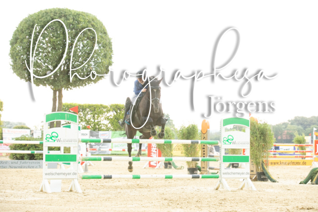 IMG_7244 | photographesa-joergens - Realisiert mit Pictrs.com