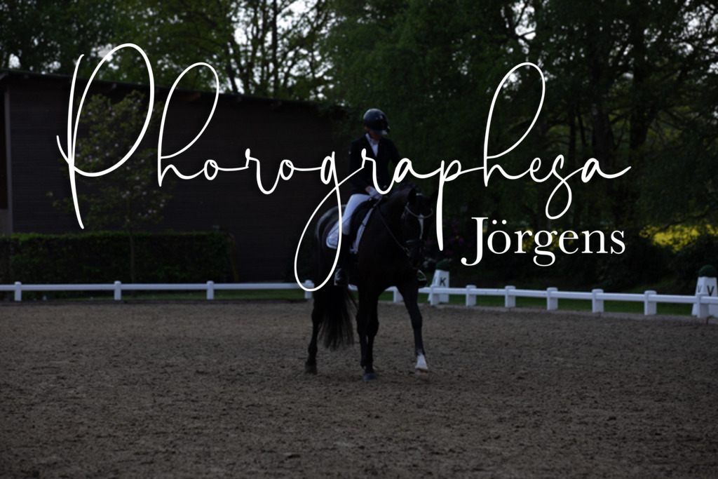 IMG_8951 | photographesa-joergens - Realisiert mit Pictrs.com