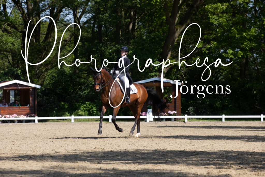 IMG_3551 | photographesa-joergens - Realisiert mit Pictrs.com