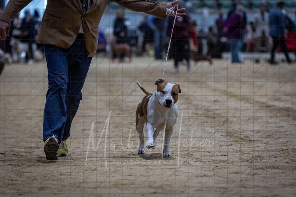 DS - FCI Gruppe 3_0105 | Markus Heber Photography