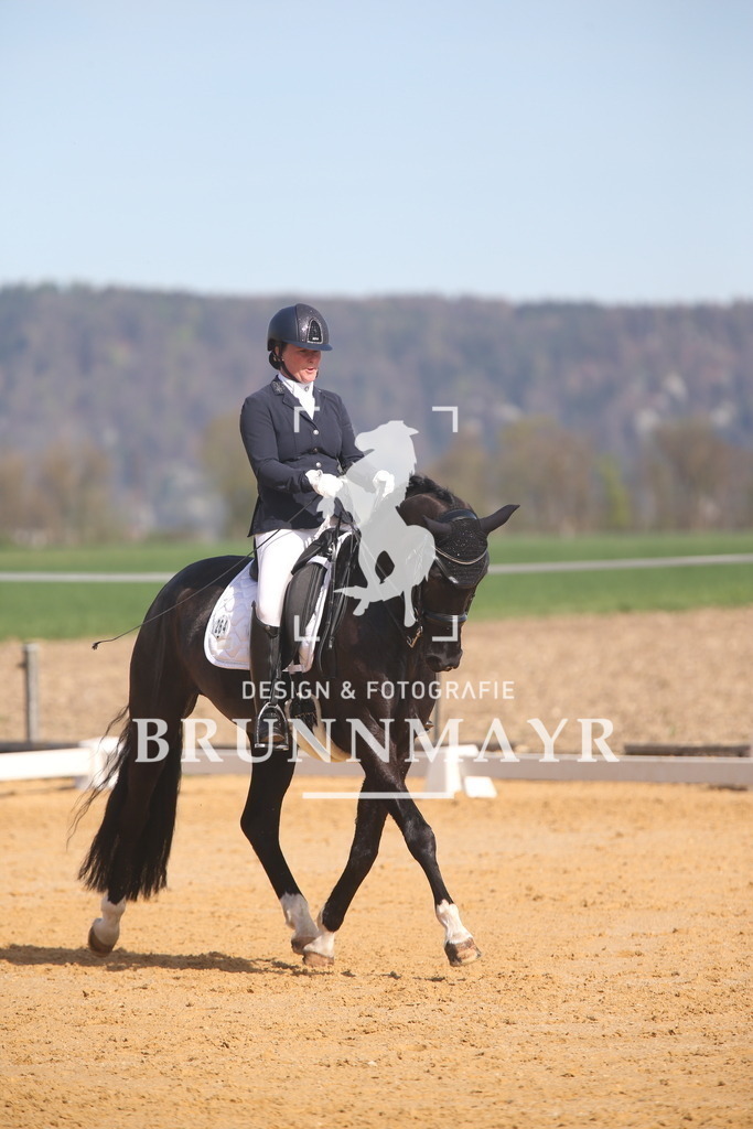 AS8V4814 | Willkommen bei Brunnmayr - Design & Fotografie – Ihrem Spezialisten für Reitturniere und Pferdeveranstaltungen in Oberösterreich, Salzburg und Bayern! Seit über 17 Jahren sind wir leidenschaftlich dabei.