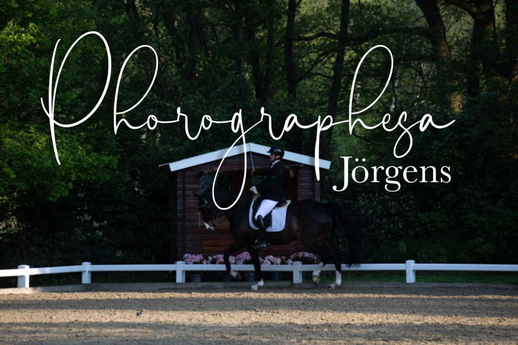 IMG_1928 | photographesa-joergens - Realisiert mit Pictrs.com