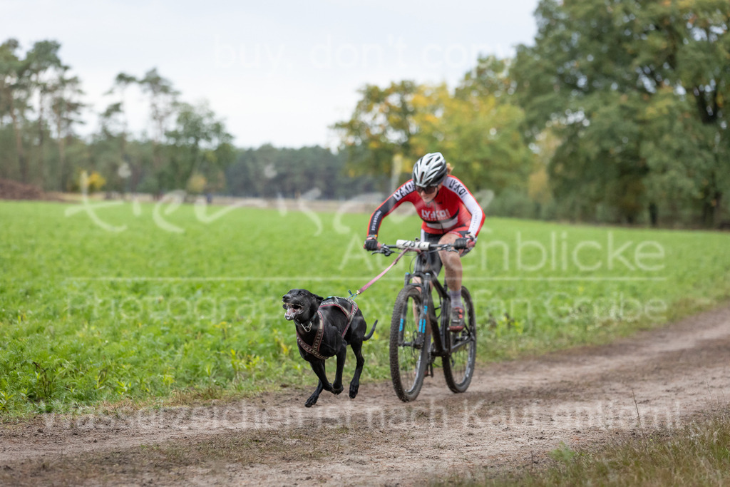 CJ8A8903 | Herzlich Willkommen im Onlineshop von tierische Augenblicke.
Viel Spaß beim aussuchen ihrer Bilder und vielen Dank für ihren Einkauf.
Viele Grüße, ihr Fotograf Stefan Grube