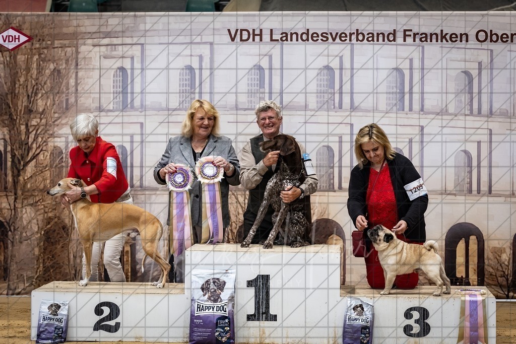 DS - Bester Veteran_0115 | Markus Heber Photography