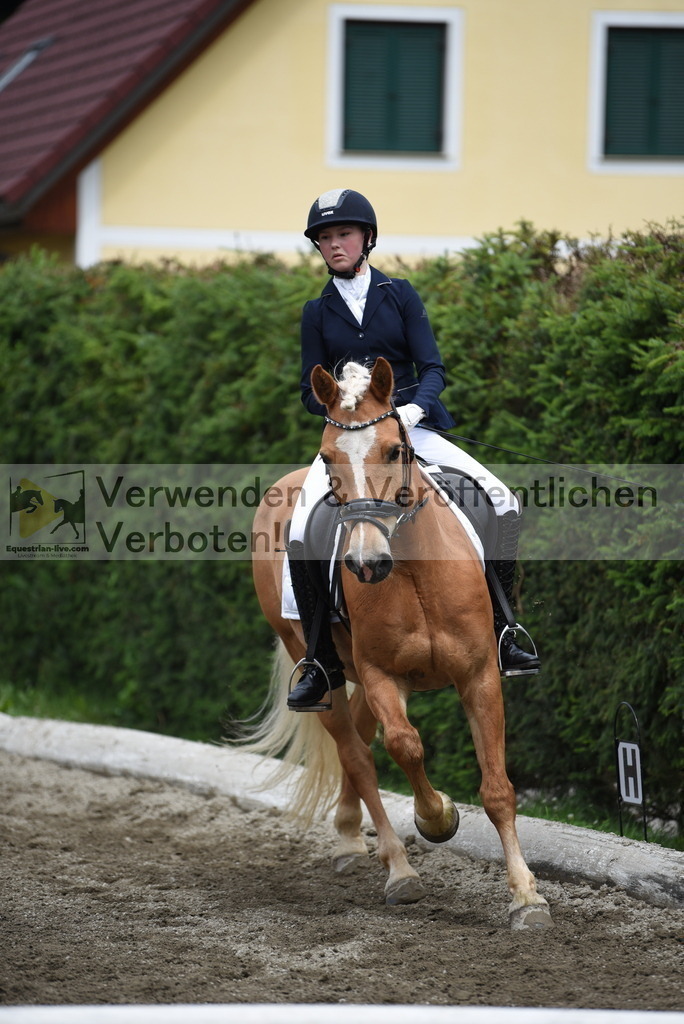DSC_3224 | equestrian-live-com