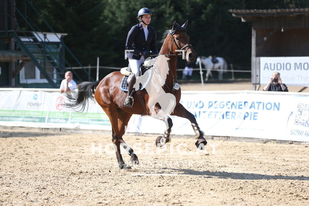 AS8V4767 | Willkommen bei Brunnmayr - Design & Fotografie – Ihrem Spezialisten für Reitturniere und Pferdeveranstaltungen in Oberösterreich, Salzburg und Bayern! Seit über 17 Jahren sind wir leidenschaftlich dabei.