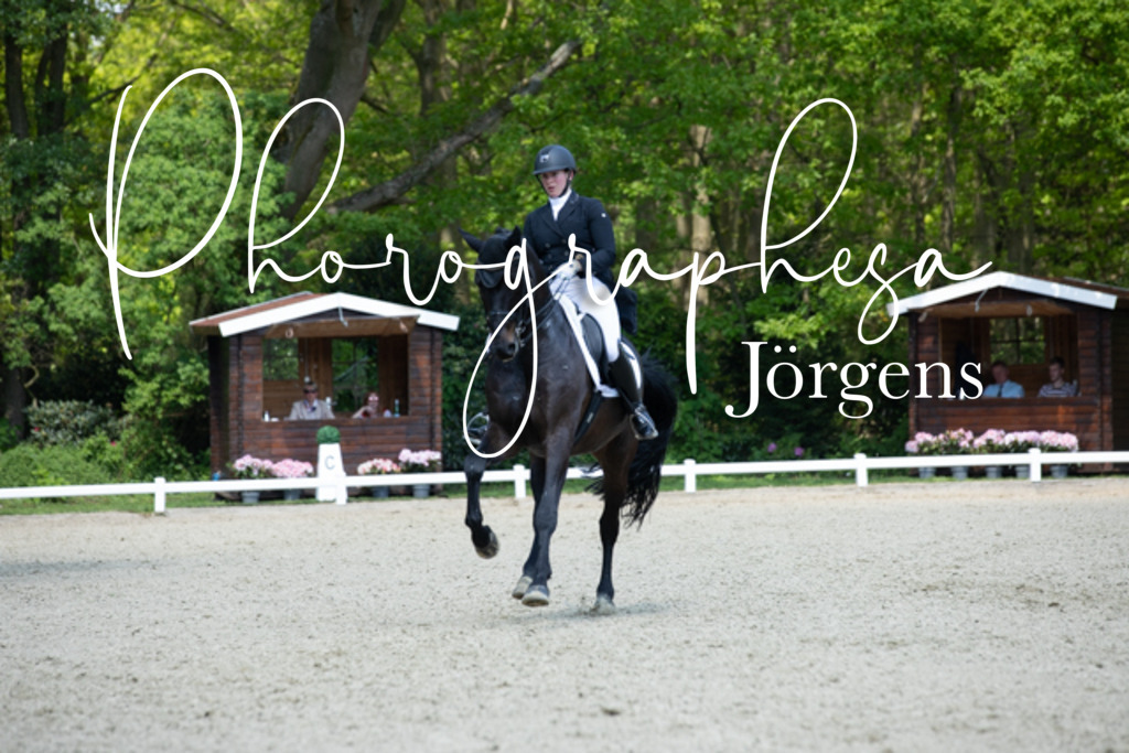 IMG_5307 | photographesa-joergens - Realisiert mit Pictrs.com
