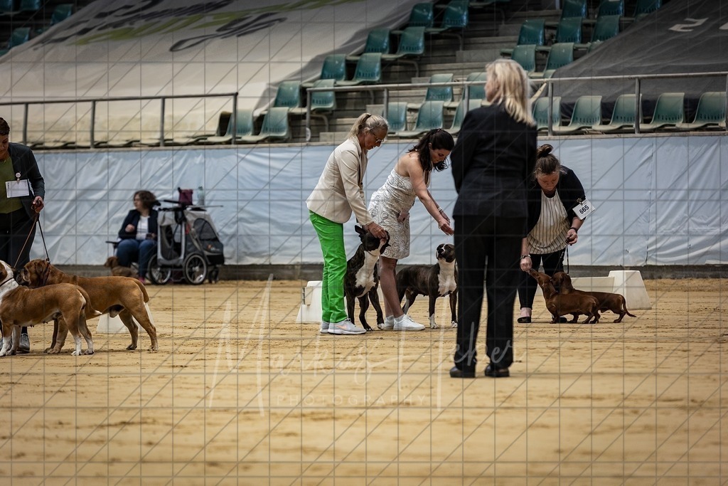 DS - Paarklasse_0058 | Markus Heber Photography