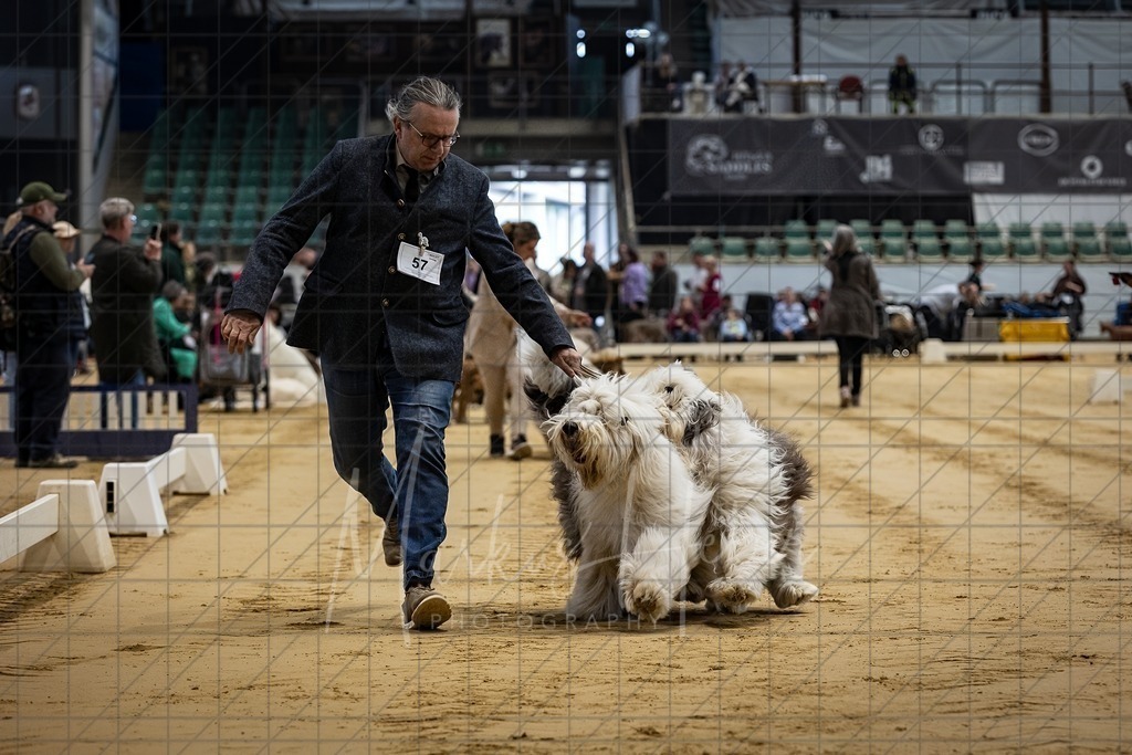 DS - Paarklasse_0009 | Markus Heber Photography