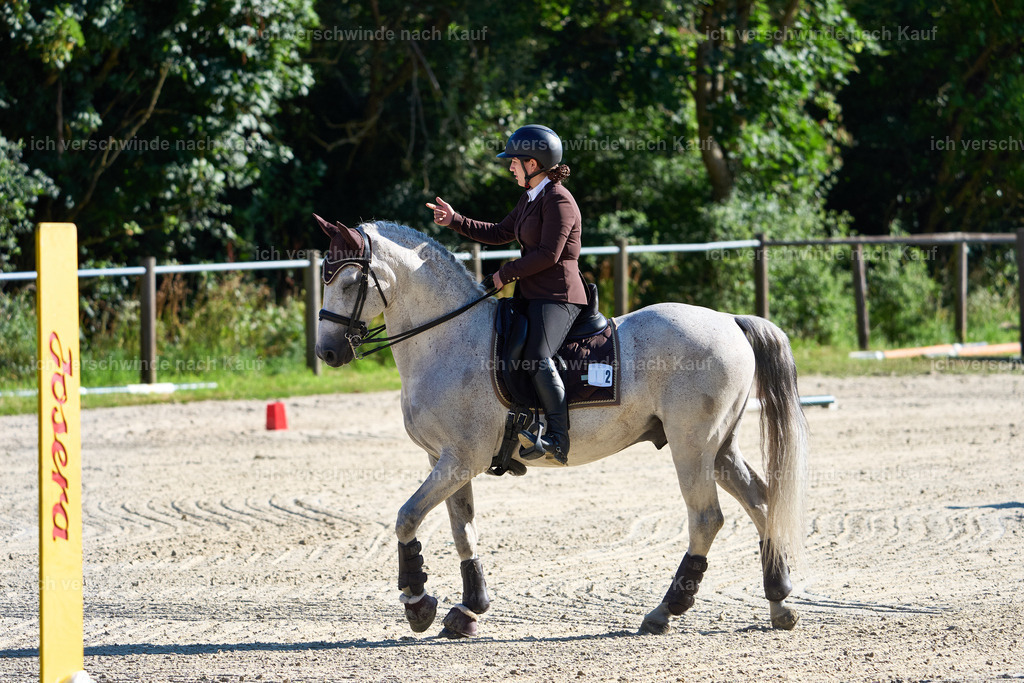 SIN03963_Marixx | working equitationturnier fotograf videograf stoibphotography marixx film working equitation deutschland reitsport turnierfotografie eventfotografie equestrian events