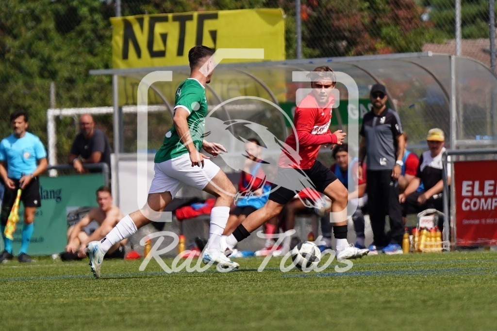 SON07937 | rabefotos