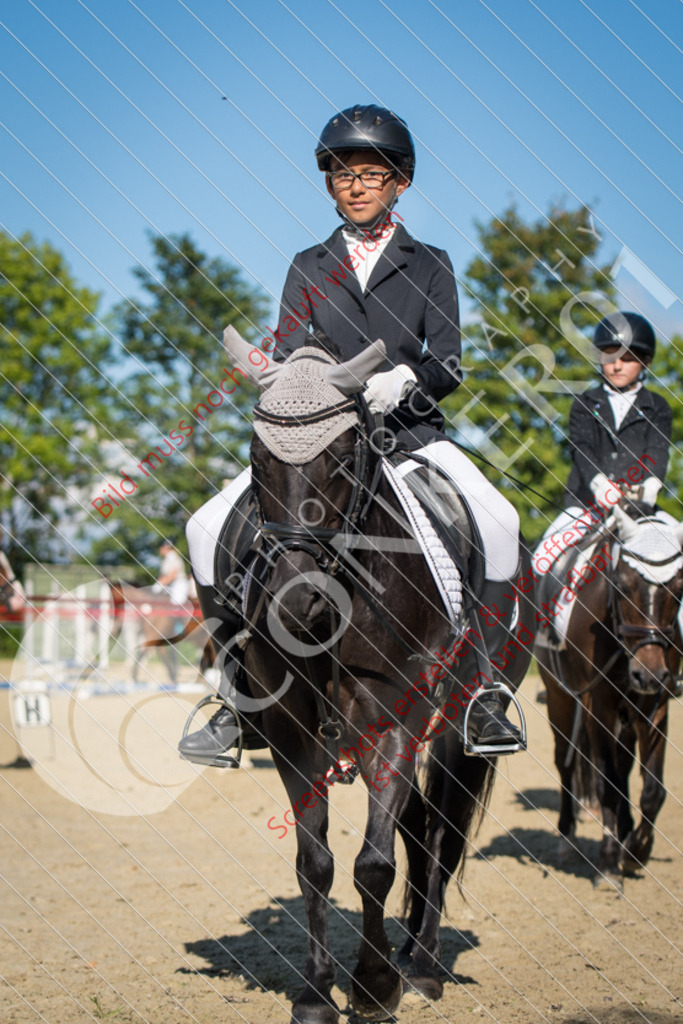 ND5_7764 | Hier findest Du viele Augenblicke aus den Bereichen der Turnier-, Sport- & Tierfotografie. Bilder mit deinem Liebling, Portrait-, Bewerbungs-, Businessbilder können ebenfalls schnell und einfach erstellt werden.