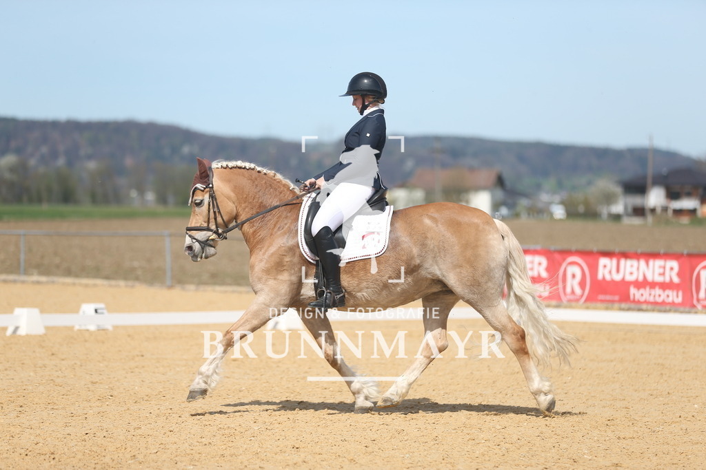 AS8V2999 | Willkommen bei Brunnmayr - Design & Fotografie – Ihrem Spezialisten für Reitturniere und Pferdeveranstaltungen in Oberösterreich, Salzburg und Bayern! Seit über 17 Jahren sind wir leidenschaftlich dabei.