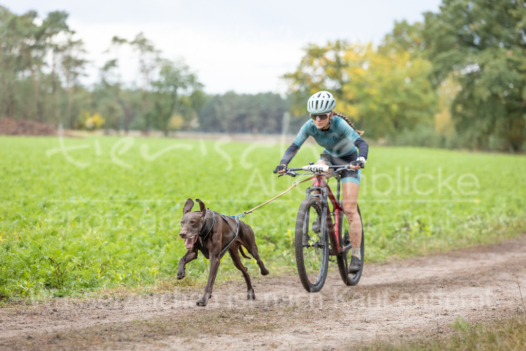 CJ8A8744 | Herzlich Willkommen im Onlineshop von tierische Augenblicke.
Viel Spaß beim aussuchen ihrer Bilder und vielen Dank für ihren Einkauf.
Viele Grüße, ihr Fotograf Stefan Grube