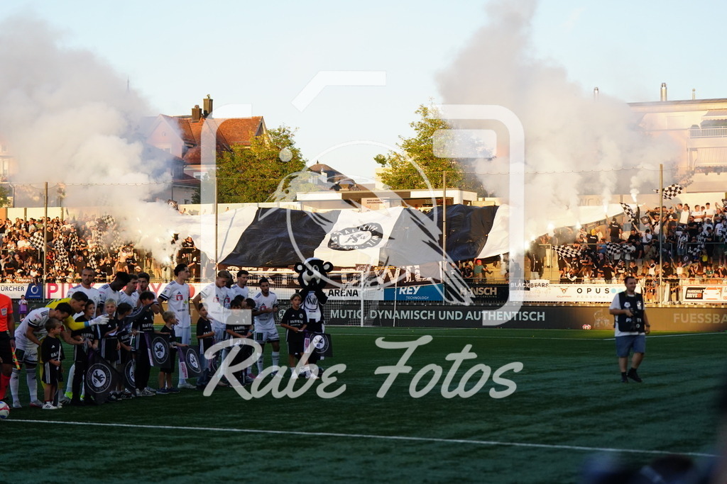 SON01263 | rabefotos