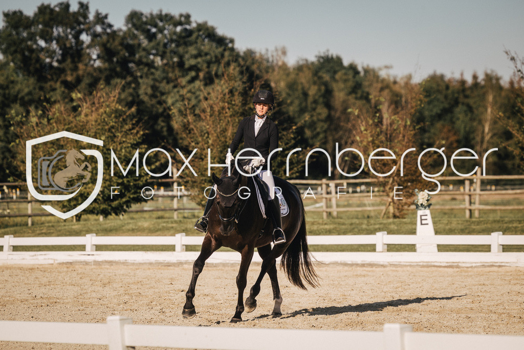 BT06-6911 | max-herrnberger