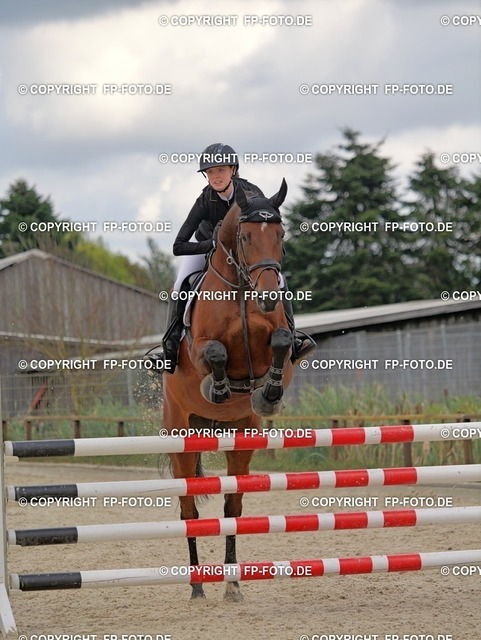 P0186800.t | FP-Foto.de - Realisiert mit Pictrs.com