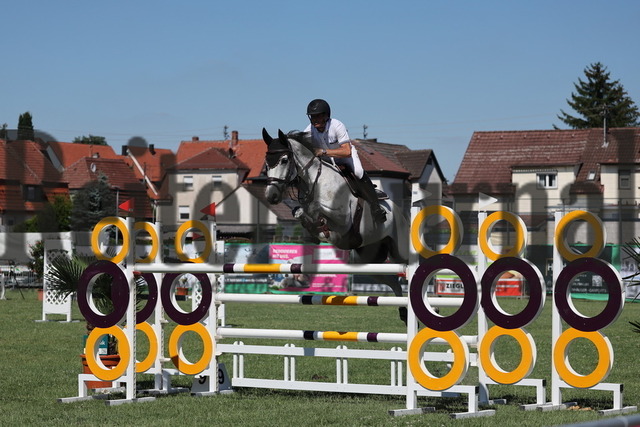 Ilsfeld_2025_Prfg.Nr.02_Punktesprinprfg.Kl.S_Jan Müller_Ciricu (8) | Alle Fotos der Reiterjournal Fotografin Doris Matthaes im Reiterjournal Online-Fotoshop. - Realisiert mit Pictrs.com