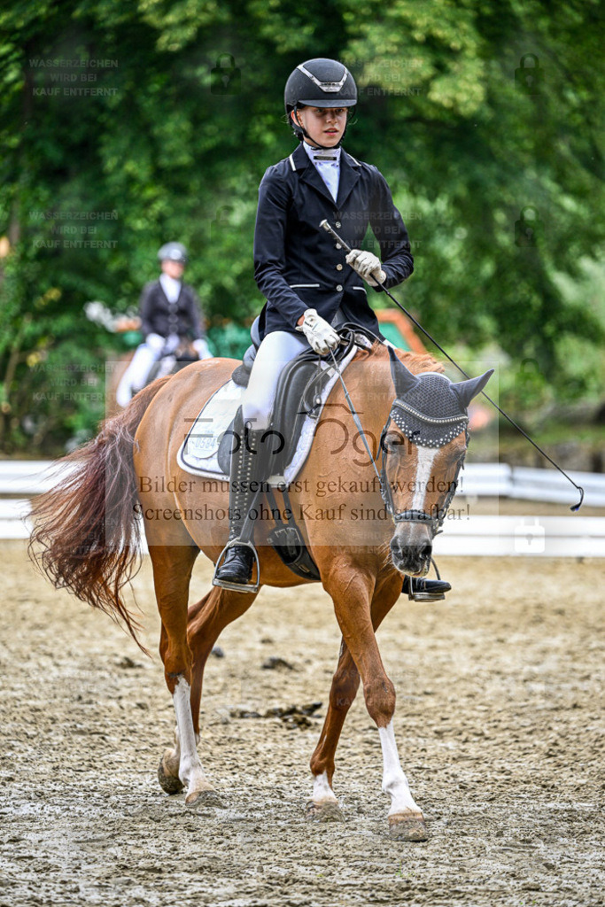 Bissendorfer Reitertage | Bilder aus dem Reitsport by Foto Oger - Domenic Schlinge - Realisiert mit Pictrs.com