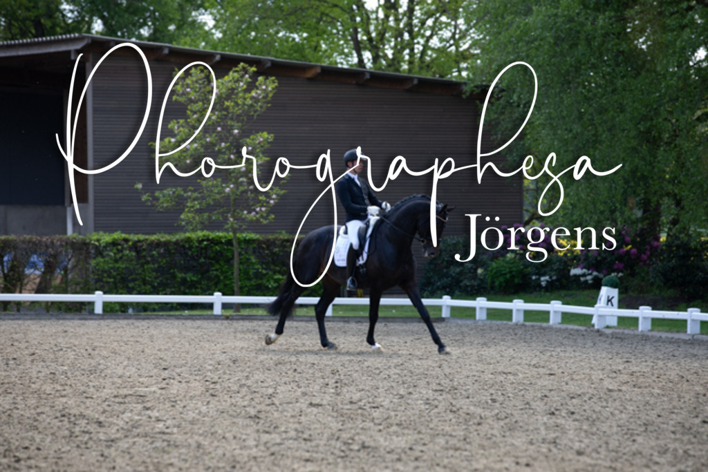 IMG_9276 | photographesa-joergens - Realisiert mit Pictrs.com