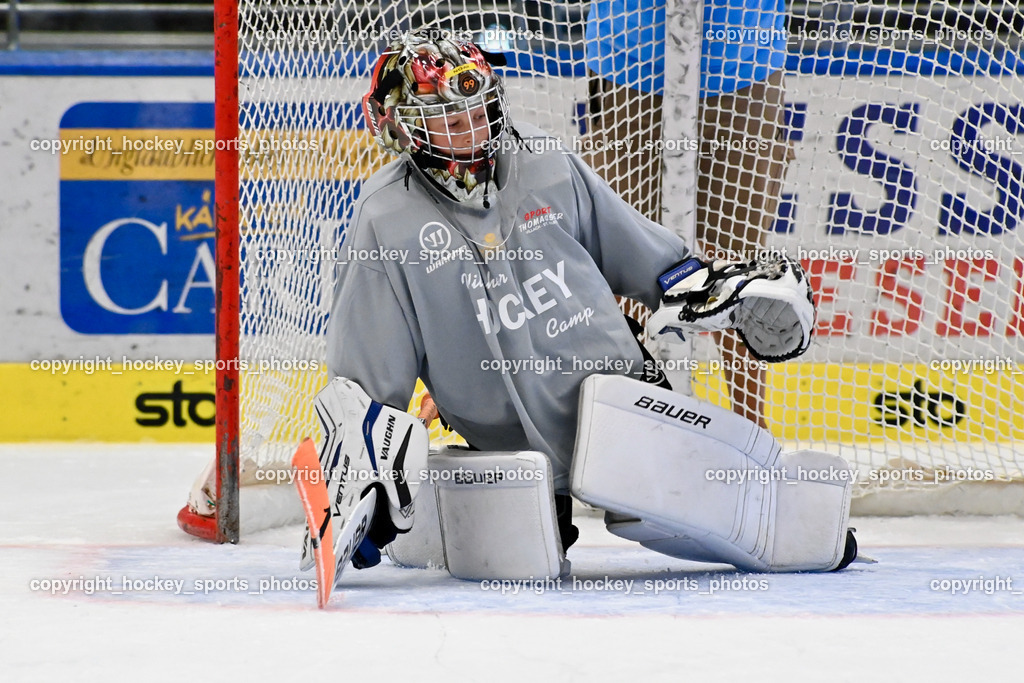 BST_7830 | hockey sports photos, Pressefotos, Sportfotos, hockey247, win 2day icehockeyleague, Handball Austria, Floorball Austria, ÖVV, Kärntner Eishockeyverband, KEHV, KFV, Kärntner Fussballverband, Österreichischer Volleyballverband, Alps Hockey League, ÖFB, 
