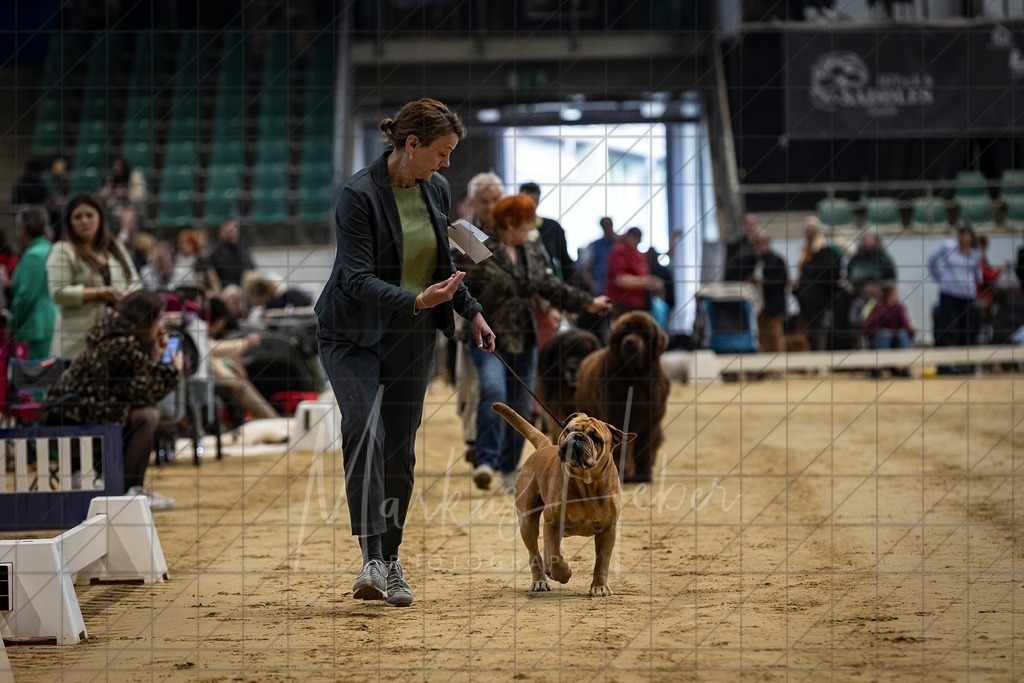 DS - FCI Gruppe 2_0023 | Markus Heber Photography