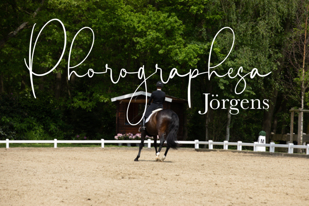 IMG_1569 | photographesa-joergens - Realisiert mit Pictrs.com