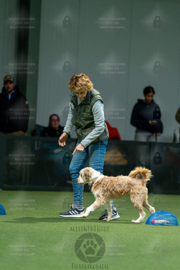 7IV06203 | Professionelle Tierfotografie in Mönchengladbach von Daniel Wirth (allesWIRTHgut). Liebevolle & natürliche Bilder von Hunden & Katzen für unvergessliche Erinnerungen.