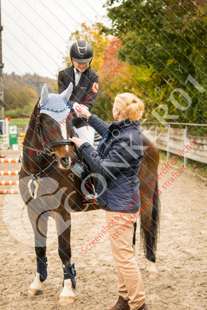 IMG_9944 | Hier findest Du viele Augenblicke aus den Bereichen der Turnier-, Sport- & Tierfotografie. Bilder mit deinem Liebling, Portrait-, Bewerbungs-, Businessbilder können ebenfalls schnell und einfach erstellt werden.