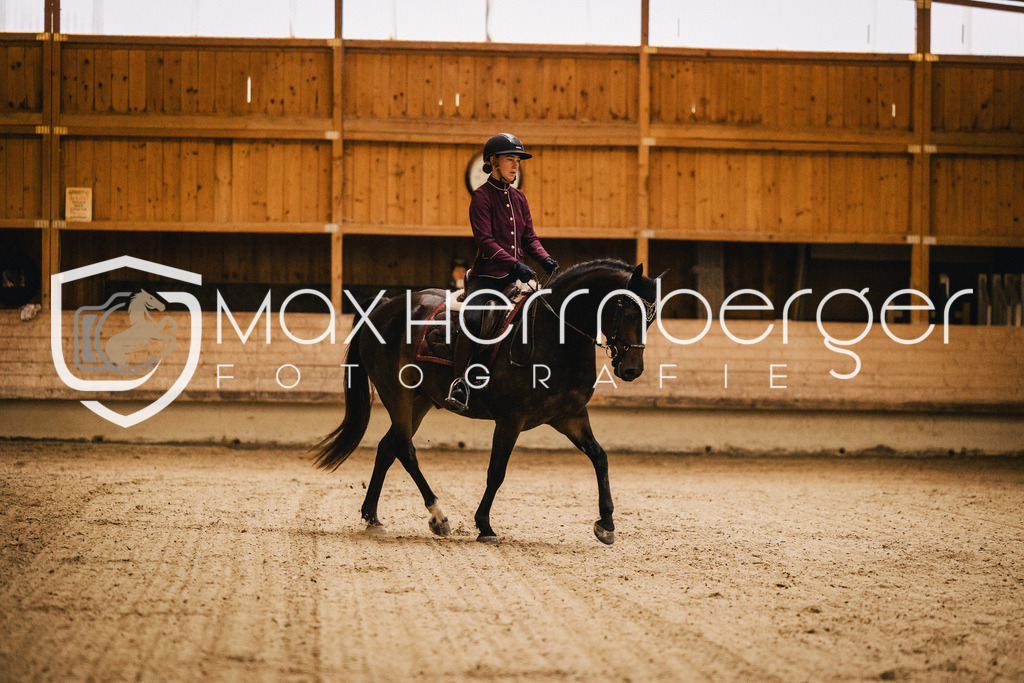 102-2990 | max-herrnberger