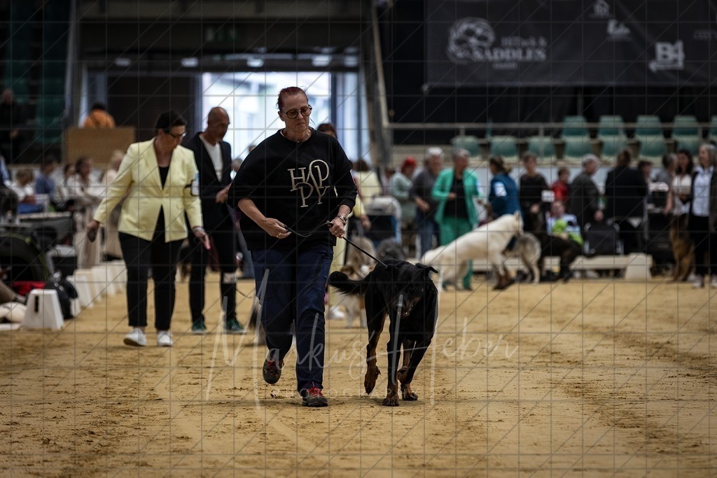 DS - FCI Gruppe 1_0009 | Markus Heber Photography