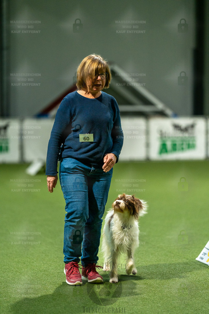 7IV08769 | Professionelle Tierfotografie in Mönchengladbach von Daniel Wirth (allesWIRTHgut). Liebevolle & natürliche Bilder von Hunden & Katzen für unvergessliche Erinnerungen.