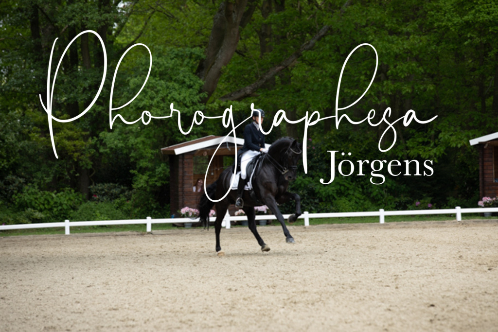 IMG_1741 | photographesa-joergens - Realisiert mit Pictrs.com
