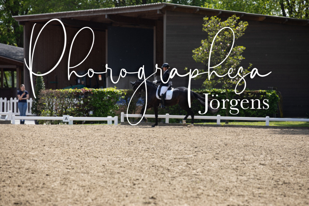 IMG_9041 | photographesa-joergens - Realisiert mit Pictrs.com