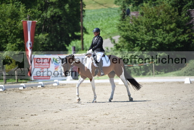 DSC_8240 | equestrian-live-com