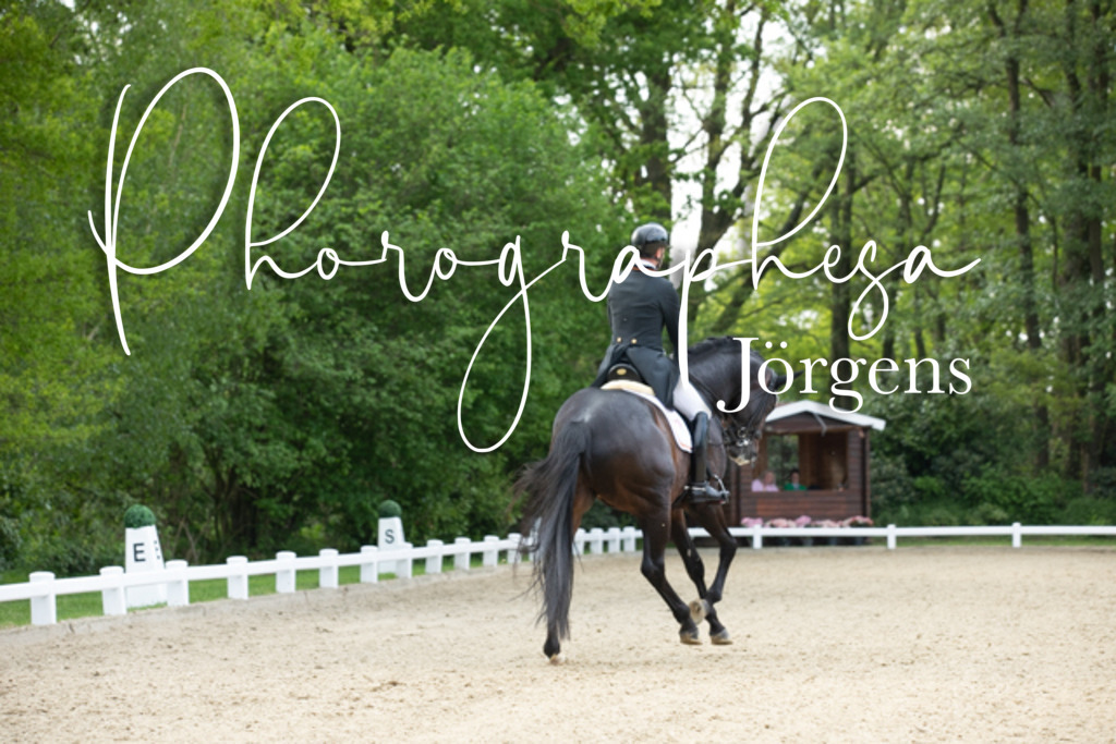 IMG_8940 | photographesa-joergens - Realisiert mit Pictrs.com
